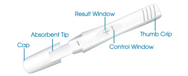 Accurate Pregnancy Test Kit ~ Double