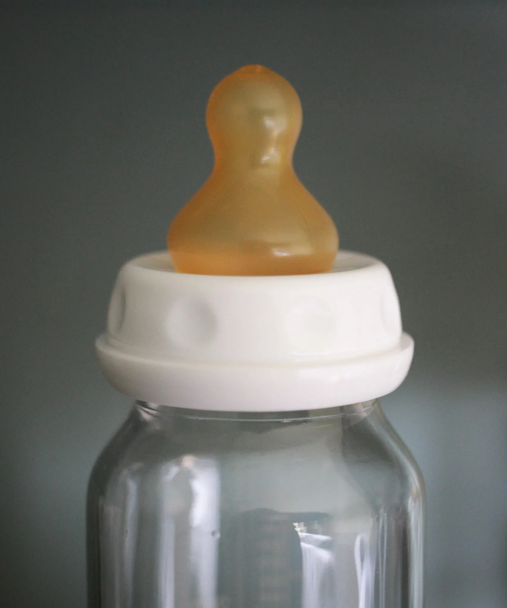 Hevea Standard Neck Glass Baby Bottle - 240ml