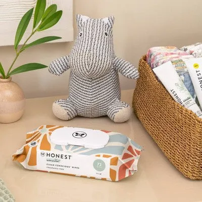 Open Box - The Honest Company Plant-Based Baby Wipes made with over 99% Water - Sunburst - 864ct