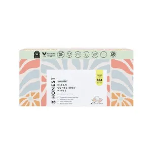 Open Box - The Honest Company Plant-Based Baby Wipes made with over 99% Water - Sunburst - 864ct